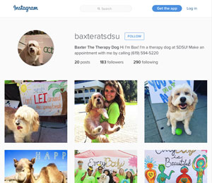 screen shot of the Baxter's instagram page
