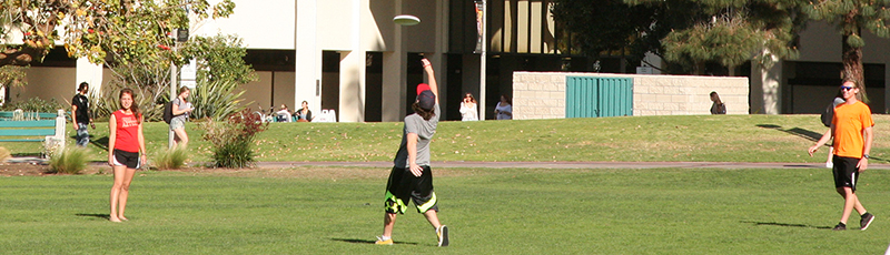 students playing frisbee on campus lawn